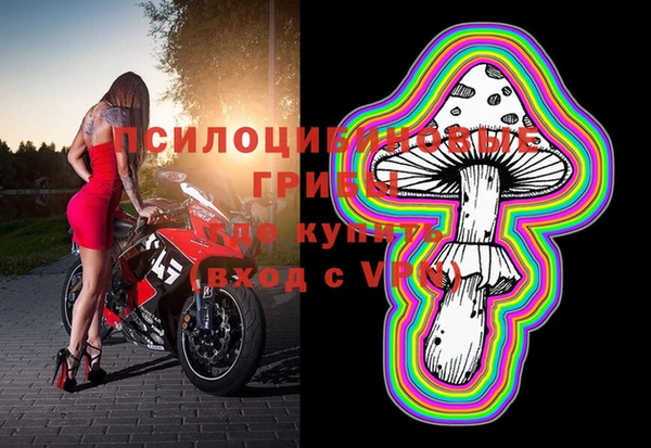 spice Алексин